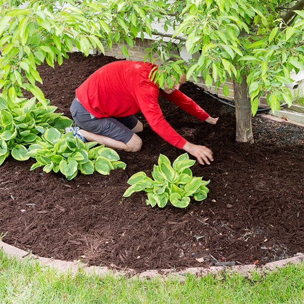 after mulch installation, it's important to periodically fluff and turn the mulch to maintain its effectiveness